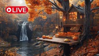 4K HDR Autumn Waterfall - Stream Sounds - Flowing Water - Forest River - White Noise - Sleep/ Relax