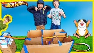 Hot Wheels Guinea Pig Box Fort + Throw It Out The Window Song