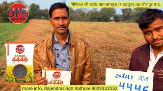 GPR GROUP सरसों की बेस्ट वेरायटी, #4446 Mustard Best Variety, गिरिराज जी राठोर ग्राम बांगपुरा