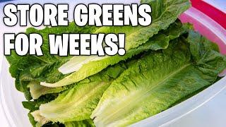 Keep Vegetables fresh for weeks!