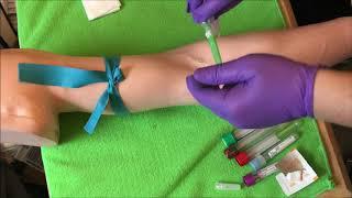 Skill Practice #2: Straight Needle Blood Draw