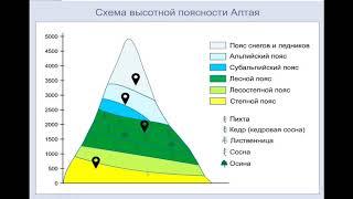 Пояс гор Южной Сибири