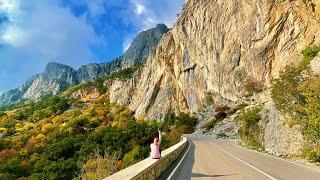 КРЫМ. Магия ЗОЛОТОЙ осени. СТАРАЯ дорога от Алупки до Фороса. Севастопольское шоссе. Весь путь