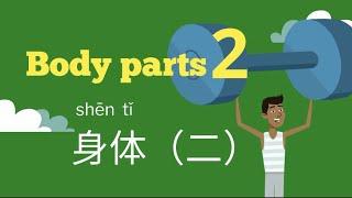 Body parts-2 | 身体-2 | Learn Chinese #body #身体