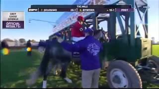 2011 Breeders Cup Mile (Court Vision)