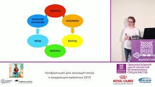 Лежнева Е. С. - Гигиена и контроль распространения инфекций