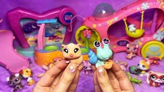 ASMR Littlest Pet Shop Show and Tell (Whispered)