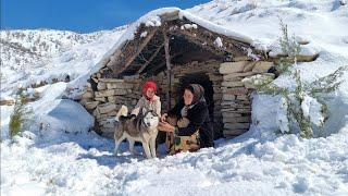 Nomadic Life| Winter Guardians| Husky Companion for Mother and Daughter in the Snow| Nomadic family|