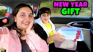 NEW YEAR GIFT | Pihu ka new Pet | Happy New Year 2025 | Aayu and Pihu Show