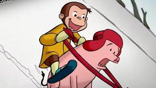 好奇的喬治 Curious George Chinese  乔治和迷路的小猪 第1季 动画片 卡通 动画 Cartoon Animation