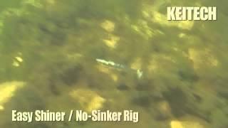 Easy Shiner - No Sinker Rig