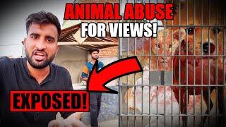 Shehr Main Dihat Exposed! - Using Poor Animals For Views | Breaking Silence