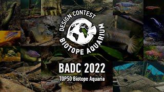 TOP50 Biotope Aquarium Design Contest #BADC2022