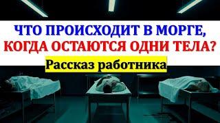 Что происходит в морге, когда остаются одни тела? Рассказ работника без приукрашивания