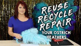 ZUCKER® Reuse, Recycle & Repair Damaged Ostrich Feathers | Feather Techniques & Feather Info