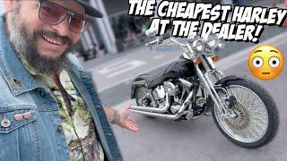 Riding the Cheapest Harley-Davidson at the Dealership | Cheaper than a Honda Rebel! 