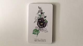 Hedgewitch Botanical Oracle | Flip Through