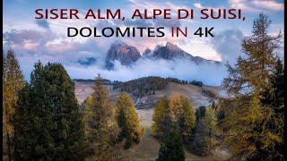 Alpe Di Siusi, Seiser Alm, Dolomites in the Fall. 4K