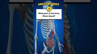 Anatomy Quiz! #anatomy  #quiztimefun  #quiztime  #anatomyclass