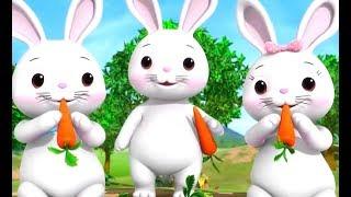 Baby Rabbit Baby Duck Funny Children's Music - Mommy Why