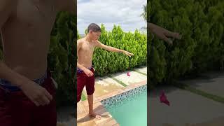 Desafio na piscina ‍️