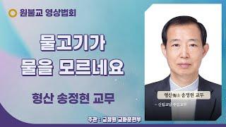 물고기가 물을 모르네요 ( 형산 송정현 교무 / 106년 8월 22일 / 51회 )