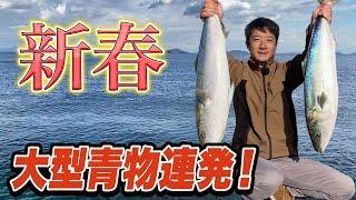 【泳がせ釣り】アジの泳がせ釣りで大型青物連発！巨大高級魚や新魚種も続々と… 飲ませ釣り最強！