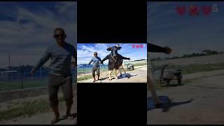 how possible cow dancing #sorts #sortvideo #viralshort #cow #dance #foryou #ai #edit #funny