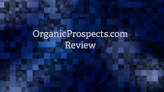 Proven OrganicProspects Review