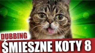 ŚMIESZNE KOTY 8  DUBBING MATT OLECH