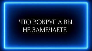 ЧТО ВОКРУГ А ВЫ НЕ ЗАМЕЧАЕТЕ?