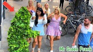 BUSHMAN PRANK THE MOST UNFORGETTABLE DAY  | MR GREEN PRANK