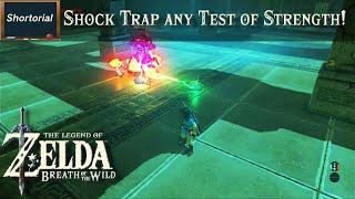 Shock Trap Test of Strength | Zelda BOTW Shortorial