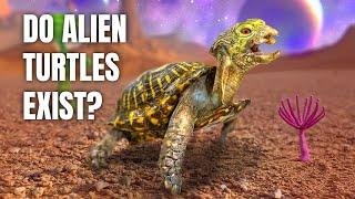 Alien-Like Turtle Surrendered to Garden State Tortoise: Owner Paid Someone to Take Him!
