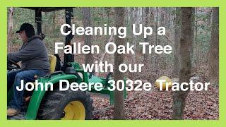 #52 Cleaning up a fallen oak tree