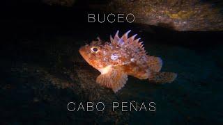 Buceo | Cabo Peñas (Asturias)