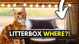 Full Time RV Living with Cats - ULTIMATE (HOW TO) GUIDE