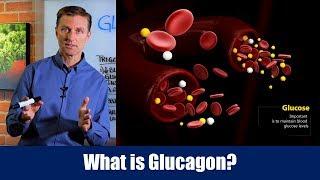 What is Glucagon? – Dr. Berg