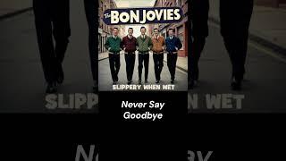 BON JOVI - NEVER SAY GOODBYE #bonjovi  #slipperywhenwet #retrorock  #oldies