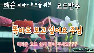 레슨]똑바로 보고 싶어요 주님/피아노초보반주/어려운 코드를 쉽게 풀어드려요