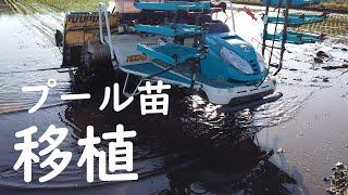 【2024】納車14年目田植機。令和六年度田植え初日。試運転調整。