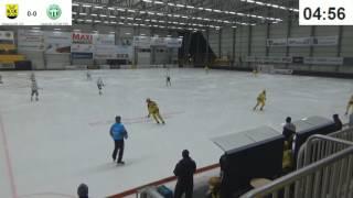 J20 Vetlanda - VSK 2016-11-13 17:30