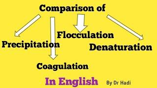 Comparison of Precipitation, Coagulation, Denaturation and Flocculation in English by Dr