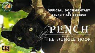 Pench - The Land Of The Jungle Book | Official Documentary | 4K