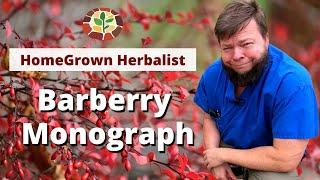 Barberry & Oregon Grape Monograph - Herbal Review with Dr. Jones