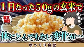 【論文解説】玄米を白米に混ぜて食べるだけで体に起きる５つの効果と,安全な食べ方【ゆっくり解説】