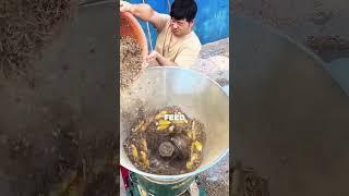 "This Machine Makes Animal Feed in Seconds!#shorts