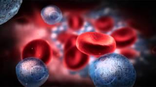 What is Multiple Myeloma?