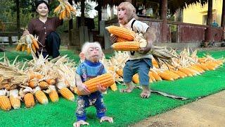 Bibi and Lala help mom dry corn!