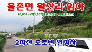 여수시 부동산 임야 1억원 / 율촌면 월산리 2차선도로 접한 완경사임야 2필지 전체10,642㎡중 1/4인 2,568㎡(약777) 지분매매